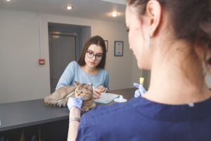 Read more about the article Покрывает ли MetLife Pet Insurance лекарства и рецепты?  (обновление 2022 г.)