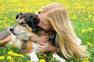 Read more about the article Как заставить собаку приятно пахнуть без ванны (8 простых шагов)