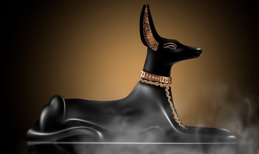 You are currently viewing История собак в Древнем Египте (факты, культура и многое другое)