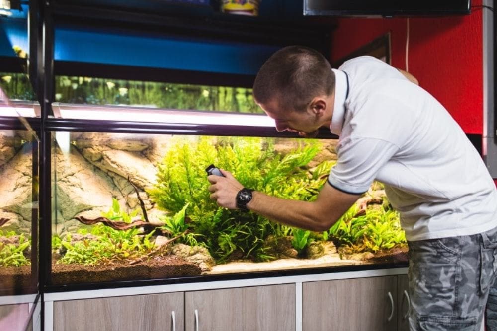 чистка стекол аквариума