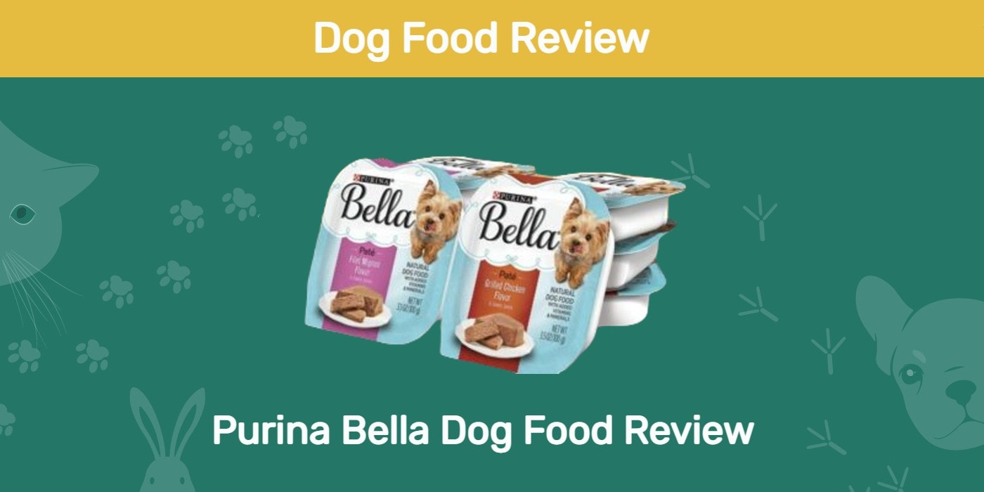 You are currently viewing Обзор корма для собак Purina Bella 2022: отзывы, плюсы и минусы