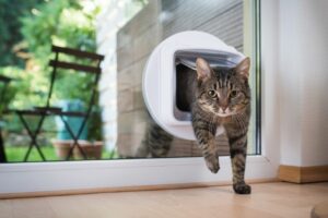 Read more about the article 6 лучших закрылков для кошек с микрочипом в Великобритании — обзоры и лучший выбор 2023 г.