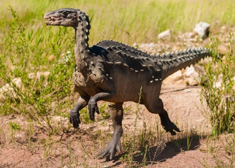 You are currently viewing Какие виды являются ближайшими живыми родственниками динозавров?