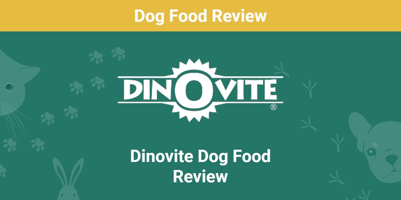 You are currently viewing Обзор корма для собак Dinovite 2022: отзывы, плюсы и минусы