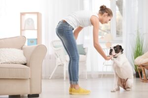 Read more about the article Как научить собаку приходить без лакомства: 7 советов и хитростей