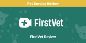 Read more about the article Обзор FirstVet 2022: выгодно ли FirstVet?