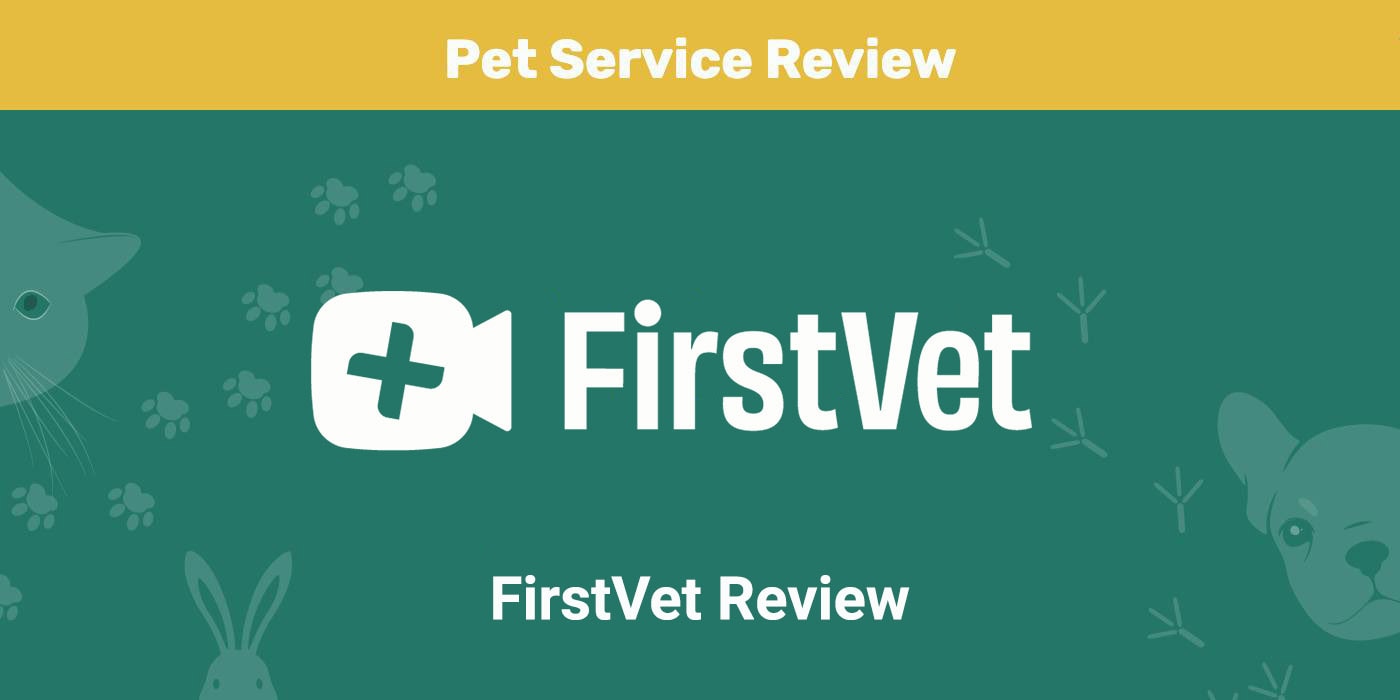 You are currently viewing Обзор FirstVet 2022: выгодно ли FirstVet?