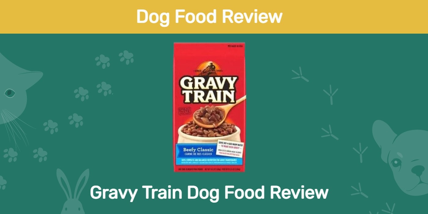 You are currently viewing Обзор корма для собак Gravy Train 2022: отзывы, плюсы и минусы