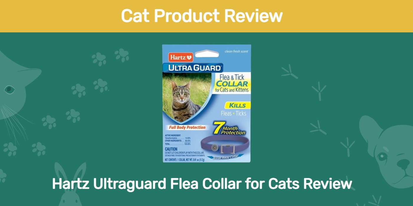 Read more about the article Обзор ошейника от блох Hartz Ultraguard для кошек 2022: плюсы, минусы и вердикт