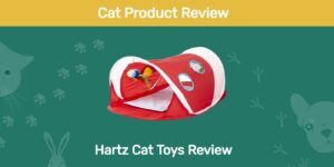 Read more about the article Hartz Cat Toys Review 2022: плюсы, минусы и вердикт