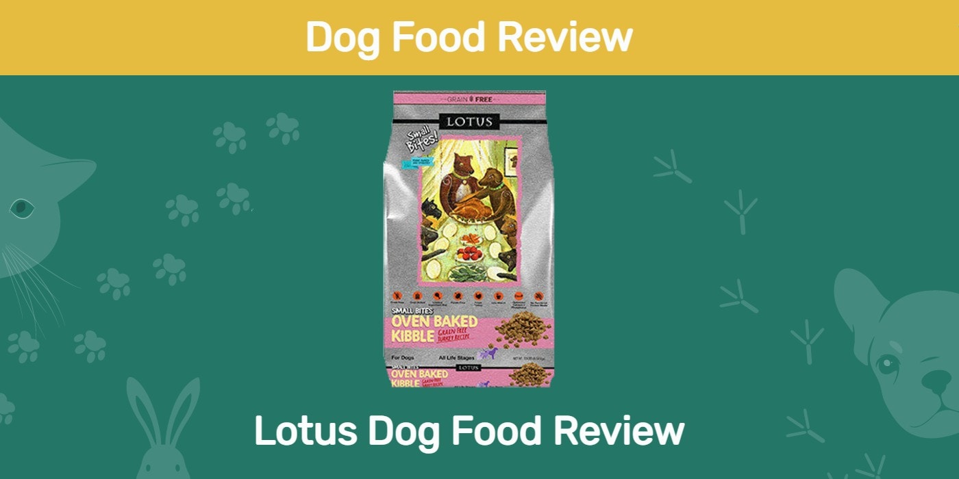 You are currently viewing Обзор корма для собак Lotus 2022: отзывы, плюсы и минусы