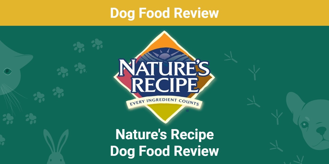 You are currently viewing Обзор корма для собак Nature’s Recipe 2022: отзывы, плюсы и минусы