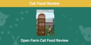 Read more about the article ﻿Open Farm Cat Food Review 2022: отзывы, плюсы и минусы