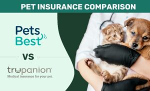 Read more about the article Pets Best vs Trupanion Сравнение страхования домашних животных 2022: плюсы, минусы и вердикт