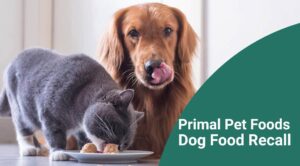 Read more about the article Отзыв корма для собак Primal Pet Foods