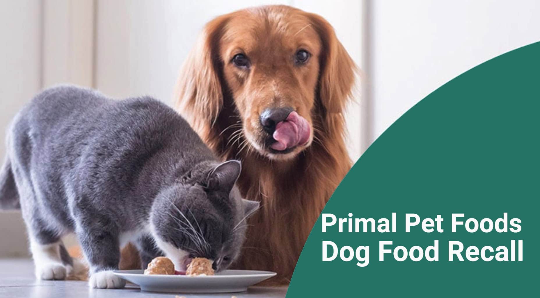 You are currently viewing Отзыв корма для собак Primal Pet Foods