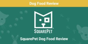 Read more about the article Обзор корма для собак SquarePet 2022: отзывы, плюсы и минусы