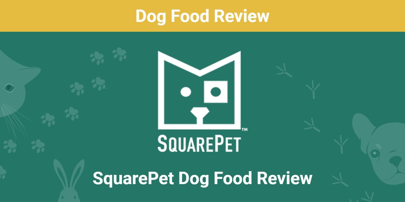 You are currently viewing Обзор корма для собак SquarePet 2022: отзывы, плюсы и минусы