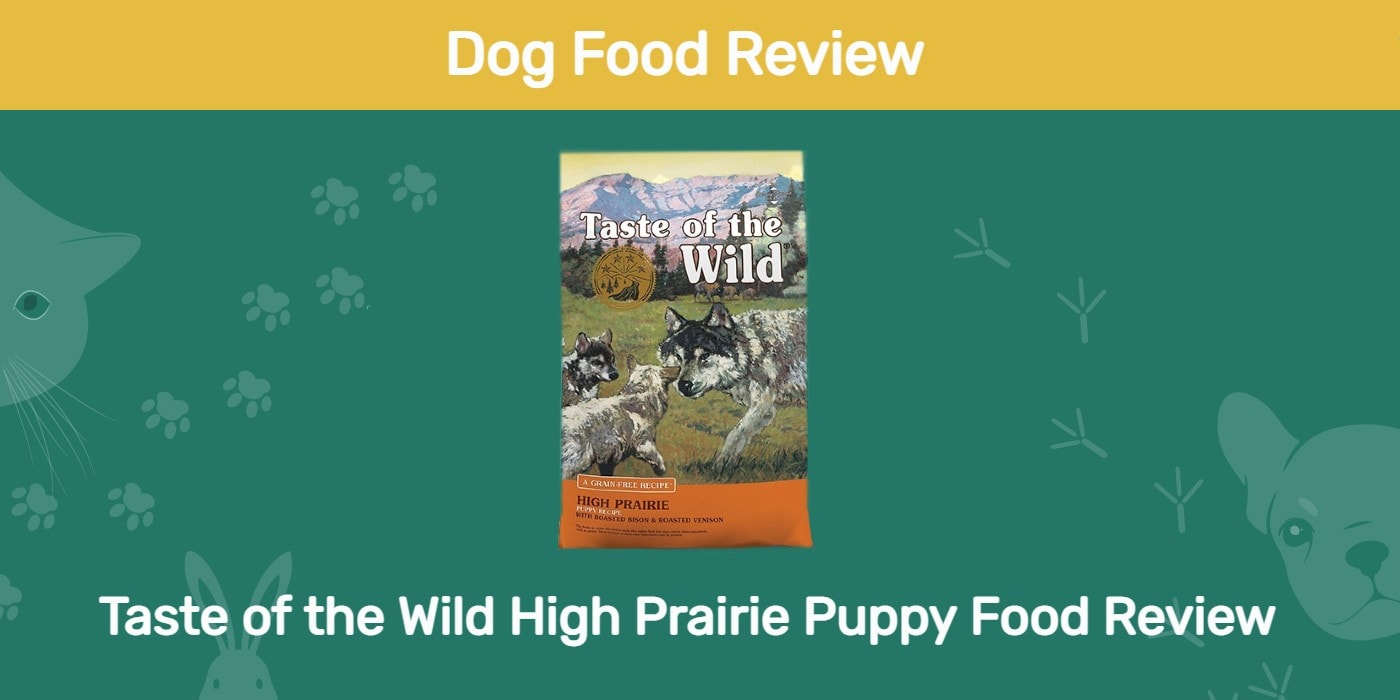 Read more about the article Обзор корма для щенков Taste of the Wild High Prairie 2022: отзывы, плюсы и минусы