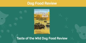 Read more about the article Taste of the Wild Dog Food Review 2022: отзывы, плюсы и минусы