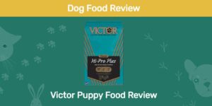 Read more about the article Victor Puppy Food Review 2022: отзывы, плюсы и минусы