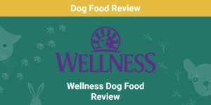 Read more about the article Wellness Dog Food Review 2022: плюсы, минусы и отзывы