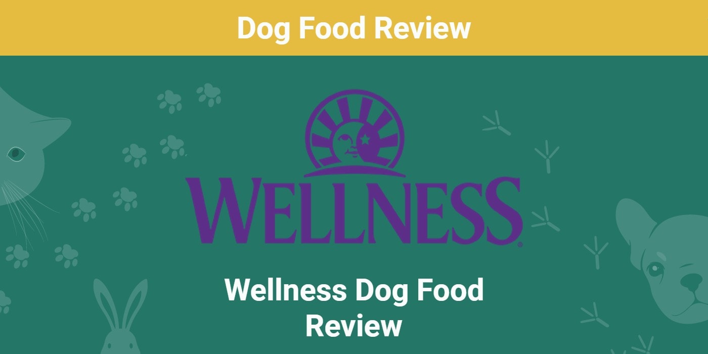 You are currently viewing Wellness Dog Food Review 2022: плюсы, минусы и отзывы