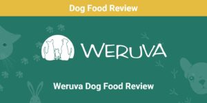 Read more about the article Weruva Dog Food Review 2022: плюсы, минусы, отзывы и руководство