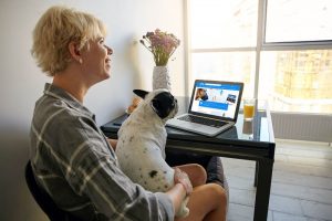 Read more about the article 10 альтернатив Chewy Online Pet Store в 2022 году: они лучше?