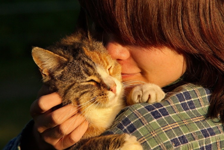 Женщина держит кошку близко к лицу