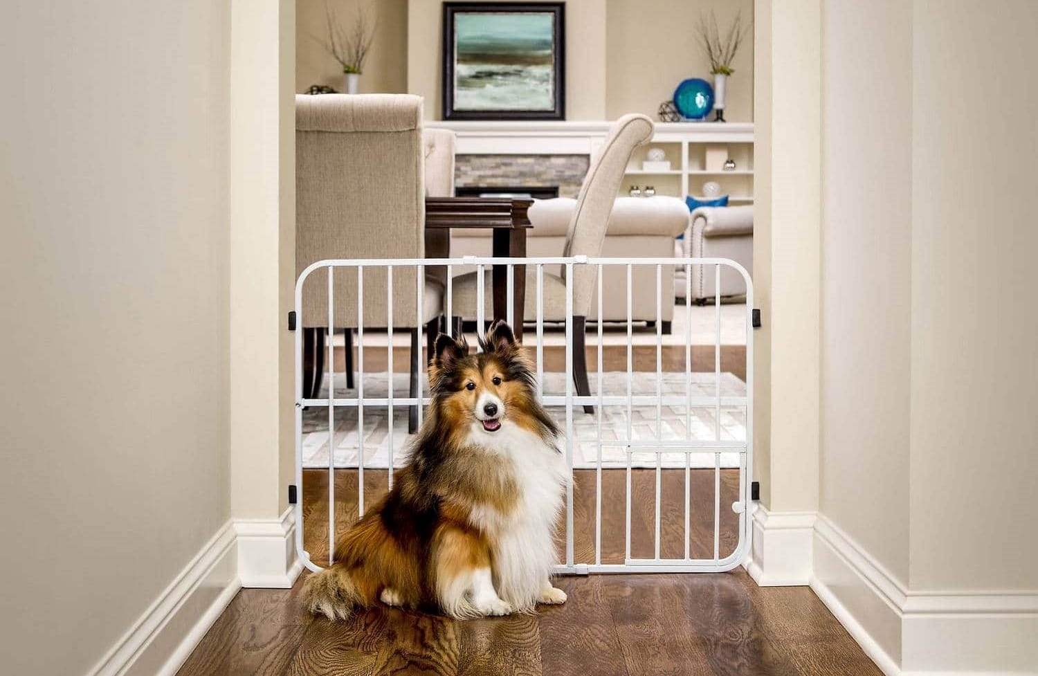 Carlson Pet Product Gate