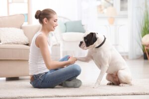 Read more about the article Как проявить любовь к вашей собаке — 10 ласковых способов