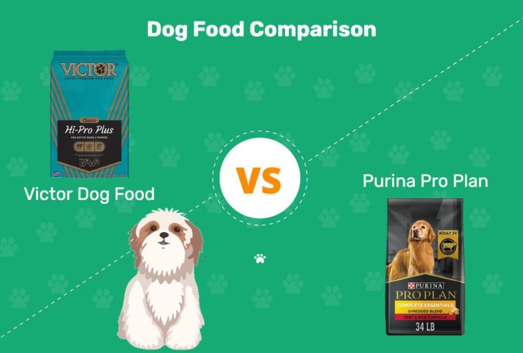 Victor-Dog-Food-vs-Purina-Pro-Plan-3