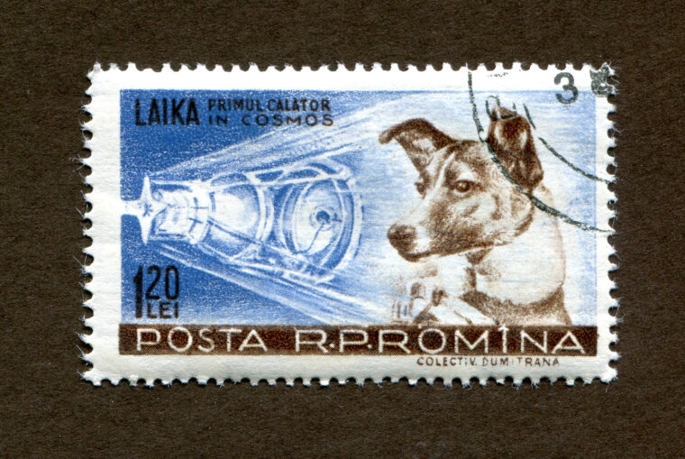 Почтовая марка Лайка Румыния