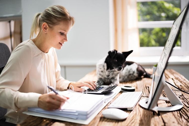 женщина вычисляет налоги со своей собакой