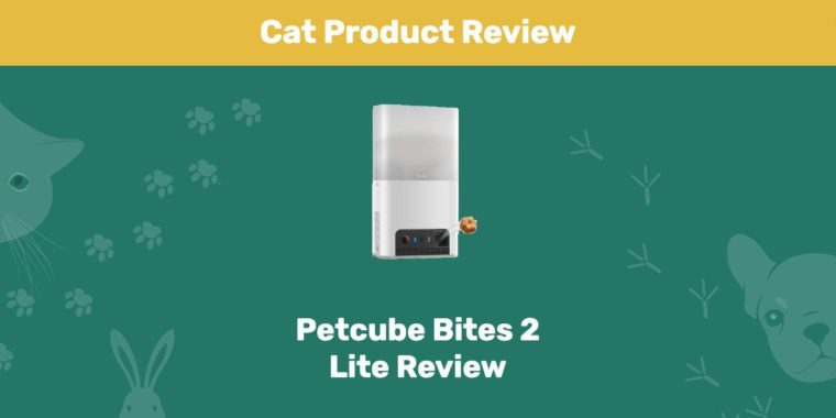 Обзор Petcube Bites 2 Lite PK Избранное изображение