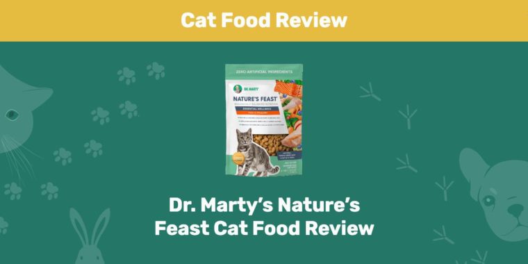 Обзор корма для кошек Dr. Marty's Nature's Feast PK