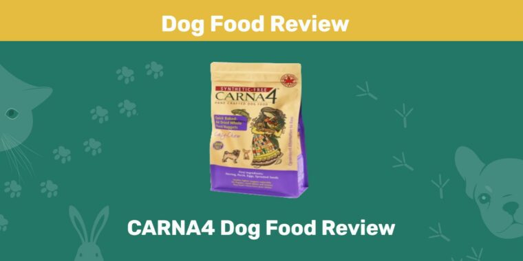 Обзор корма для собак CARNA4