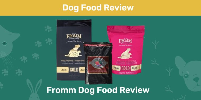 Fromm Dog Food Review Ft Image