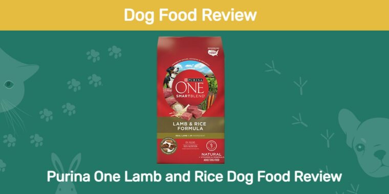 Purina-One-Lamb-and-Rice-Dog-Food обзор