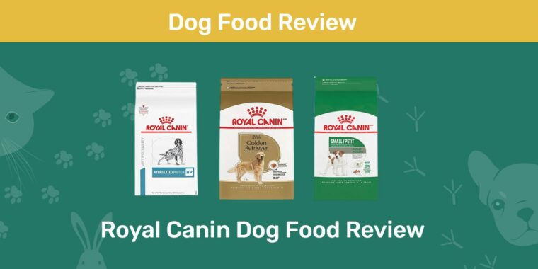 Обзор корма для собак Royal Canin