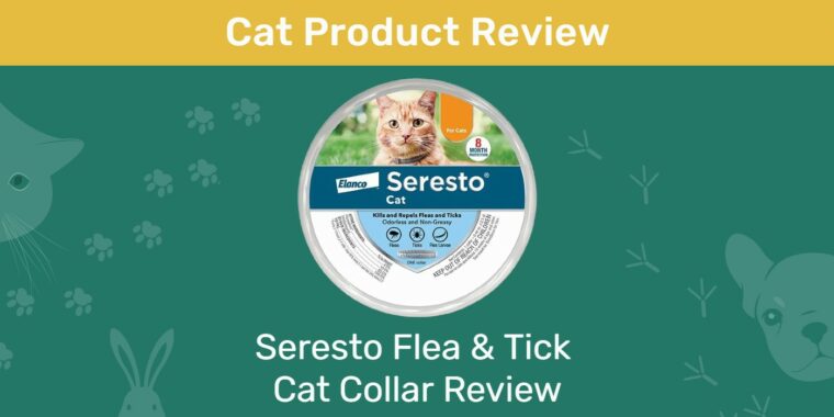 Seresto Flea & Tick_ProductReview