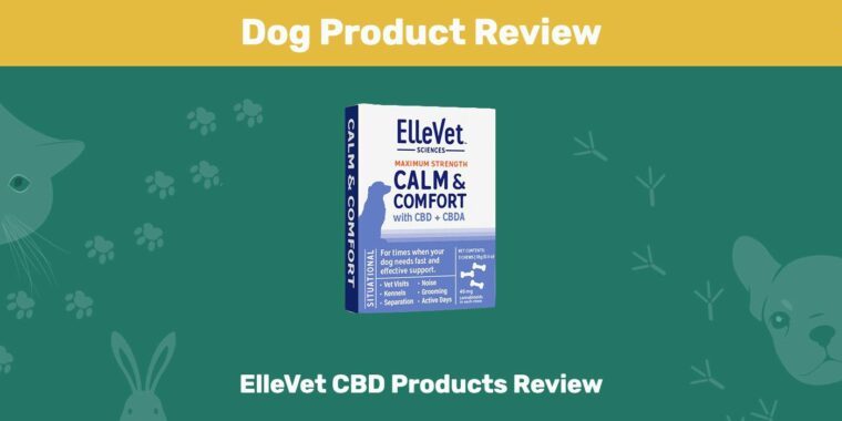 Обзор продуктов ElleVet CBD