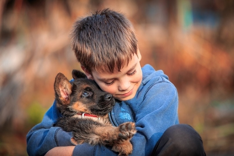 Read more about the article 7 преимуществ совместного роста собак и детей