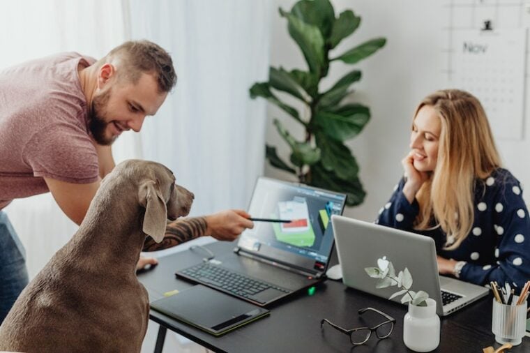 Женщина и мужчина показывают изображение на экране ноутбука собаке