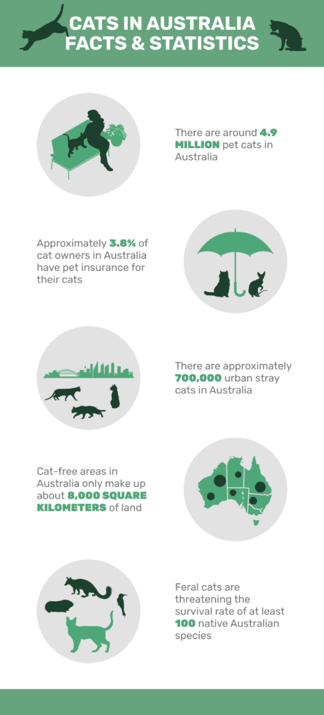 CATS_IN_AUSTRALIA_FACTS_&_STATISTICS