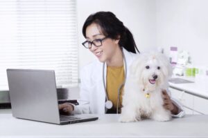 Read more about the article Ищете онлайн-работу для ветеринара?  — Мы нанимаем!