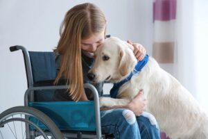 Read more about the article Что делают собаки, когда чуют рак?  9 признаков, на которые стоит обратить внимание