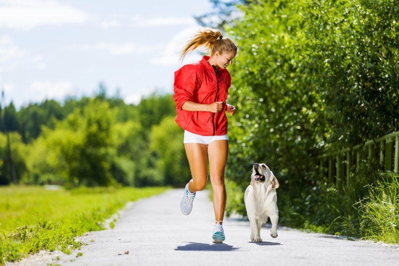 Read more about the article Нужно ли собакам бегать?  8 советов, одобренных ветеринарами