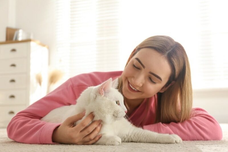 Read more about the article Помогают ли кошки с психическим здоровьем?  Они хороши для стресса?